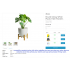 External Links-Affiliate Links-Competitive price links