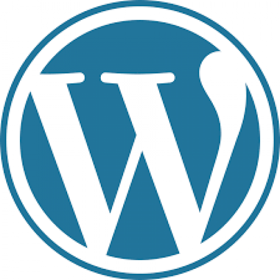 WordPress eCommerce Website with 1 year Web Hosting
